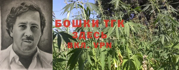 таблы Надым