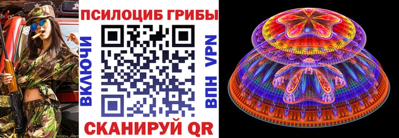 Галлюциногенные грибы Psilocybe  где купить   Дыгулыбгей 